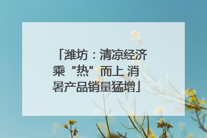 潍坊：清凉经济乘“热”而上 消暑产品销量猛增