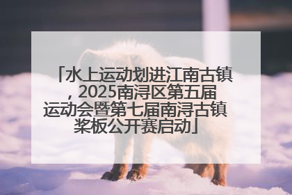 水上运动划进江南古镇，2025南浔区第五届运动会暨第七届南浔古镇桨板公开赛启动