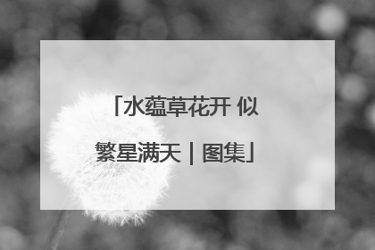 水蕴草花开 似繁星满天｜图集