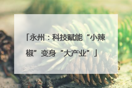 永州：科技赋能“小辣椒”变身“大产业”