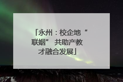 永州：校企地“联姻” 共助产教才融合发展