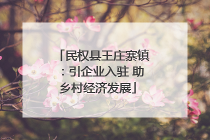 民权县王庄寨镇：引企业入驻 助乡村经济发展