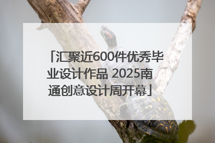 汇聚近600件优秀毕业设计作品 2025南通创意设计周开幕