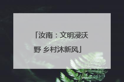 汝南：文明浸沃野 乡村沐新风