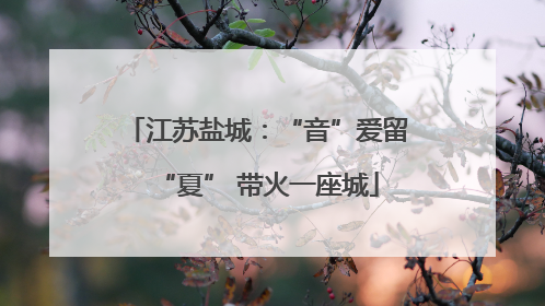 江苏盐城：“音”爱留“夏” 带火一座城