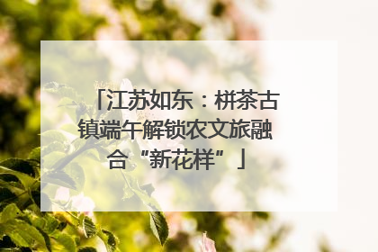 江苏如东：栟茶古镇端午解锁农文旅融合“新花样”