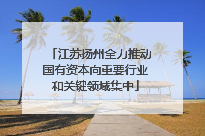 江苏扬州全力推动国有资本向重要行业和关键领域集中
