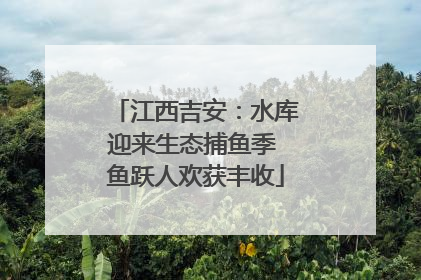 江西吉安：水库迎来生态捕鱼季 鱼跃人欢获丰收