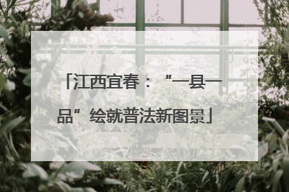 江西宜春：“一县一品”绘就普法新图景