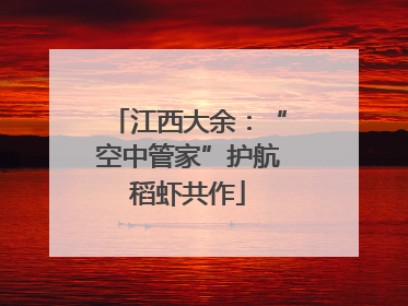 江西大余：“空中管家”护航稻虾共作