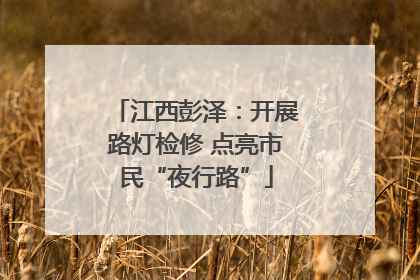 江西彭泽：开展路灯检修 点亮市民“夜行路”