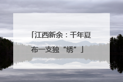江西新余：千年夏布一支独“绣”