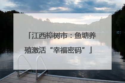江西樟树市：鱼塘养殖激活“幸福密码”