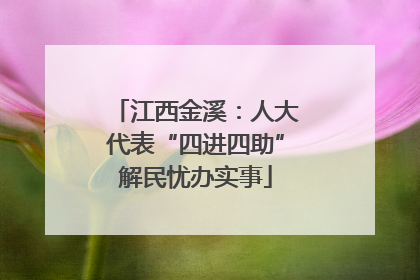 江西金溪：人大代表“四进四助”解民忧办实事