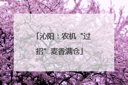 沁阳：农机“过招”麦香满仓