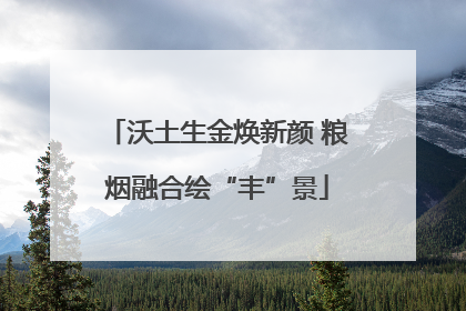 沃土生金焕新颜 粮烟融合绘“丰”景