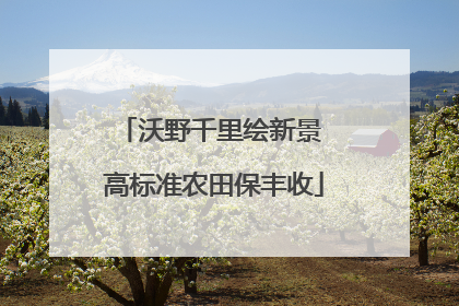 沃野千里绘新景 高标准农田保丰收