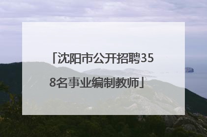 沈阳市公开招聘358名事业编制教师