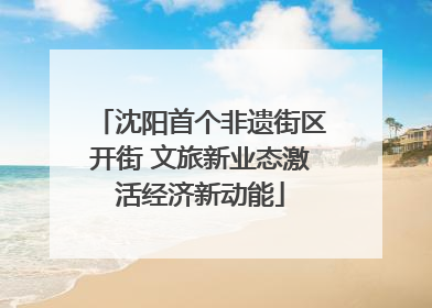 沈阳首个非遗街区开街 文旅新业态激活经济新动能
