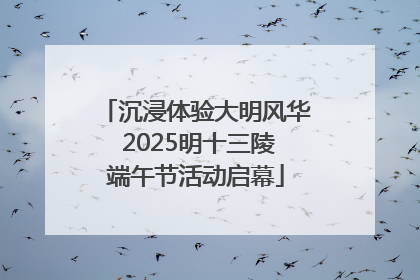 沉浸体验大明风华 2025明十三陵端午节活动启幕