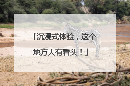 沉浸式体验，这个地方大有看头！