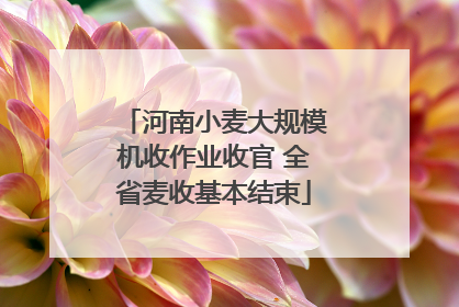 河南小麦大规模机收作业收官 全省麦收基本结束
