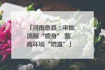 河南息县：审批流程“瘦身” 营商环境“增温”