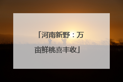 河南新野：万亩鲜桃喜丰收
