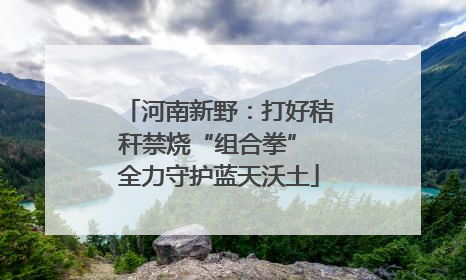 河南新野：打好秸秆禁烧“组合拳” 全力守护蓝天沃土