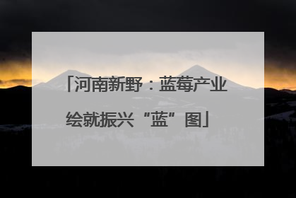 河南新野：蓝莓产业绘就振兴“蓝”图