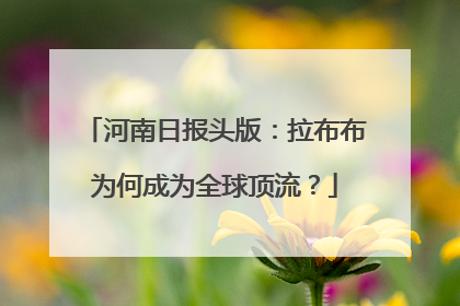 河南日报头版：拉布布为何成为全球顶流？