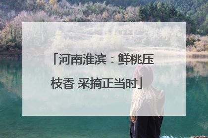 河南淮滨：鲜桃压枝香 采摘正当时