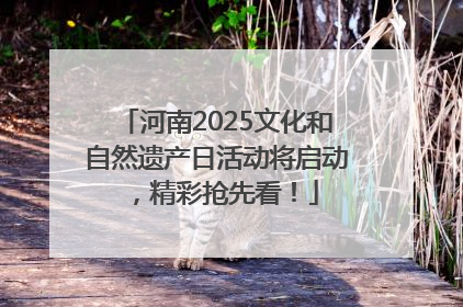 河南2025文化和自然遗产日活动将启动，精彩抢先看！