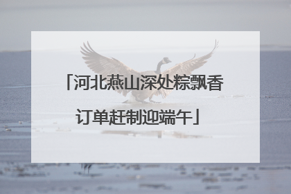河北燕山深处粽飘香 订单赶制迎端午