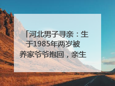 河北男子寻亲：生于1985年两岁被养家爷爷抱回，亲生父母疑为四川仪陇人｜红星寻人