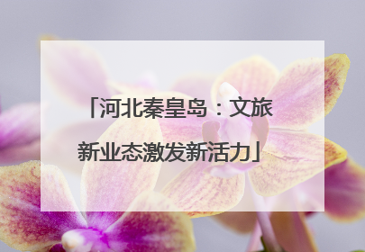 河北秦皇岛：文旅新业态激发新活力