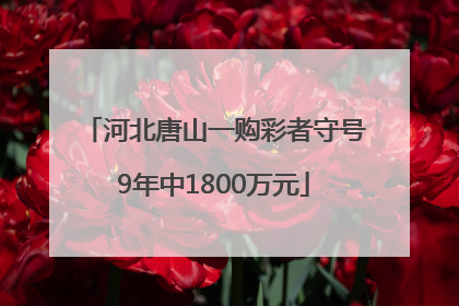 河北唐山一购彩者守号9年中1800万元