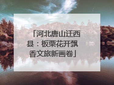 河北唐山迁西县：板栗花开飘香文旅新画卷
