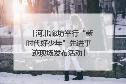 河北廊坊举行“新时代好少年”先进事迹现场发布活动