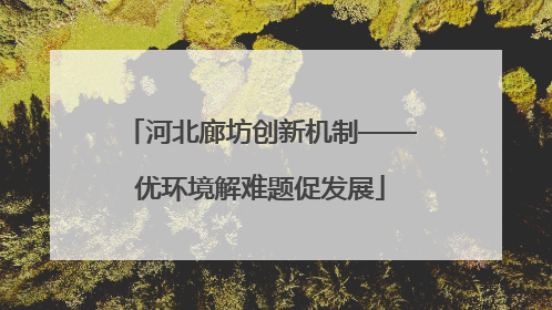 河北廊坊创新机制——优环境解难题促发展