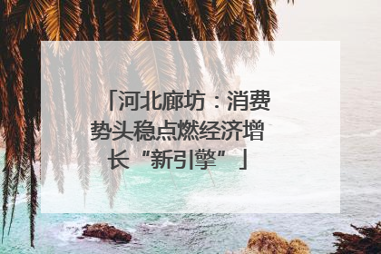 河北廊坊：消费势头稳点燃经济增长“新引擎”