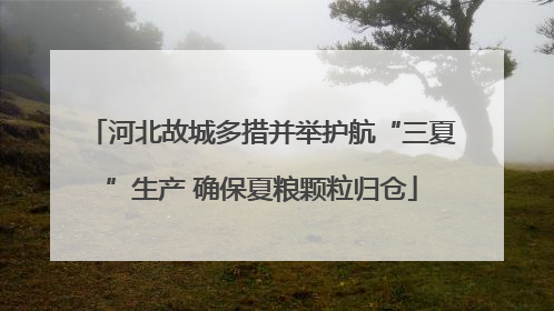 河北故城多措并举护航“三夏”生产 确保夏粮颗粒归仓