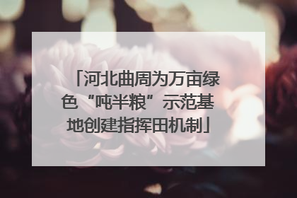 河北曲周为万亩绿色“吨半粮”示范基地创建指挥田机制