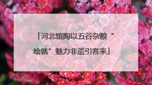 河北馆陶以五谷杂粮“绘就”魅力非遗引客来