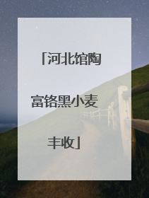河北馆陶富铬黑小麦丰收
