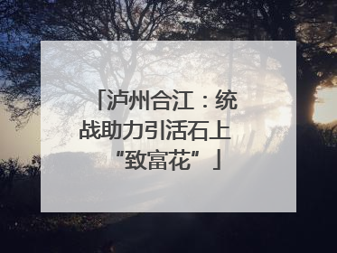 泸州合江：统战助力引活石上“致富花”