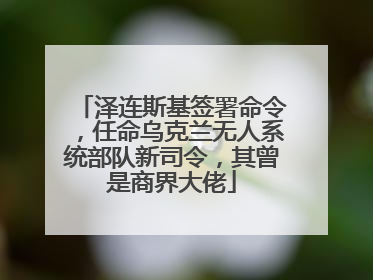 泽连斯基签署命令，任命乌克兰无人系统部队新司令，其曾是商界大佬