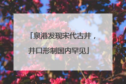 泉港发现宋代古井，井口形制国内罕见