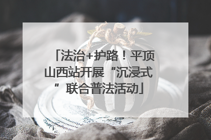 法治+护路！平顶山西站开展“沉浸式”联合普法活动