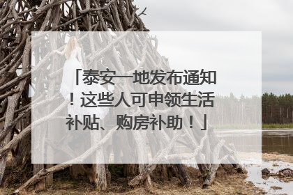 泰安一地发布通知！这些人可申领生活补贴、购房补助！